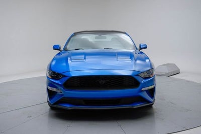 2019 Ford Mustang EcoBoost