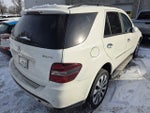 2007 Mercedes-Benz M-Class 5.0L