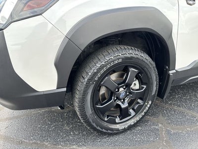 2024 Subaru Forester Wilderness